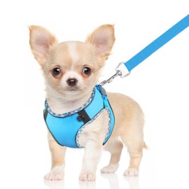 DoggieKit Dog Harness for Small Medium Dogs No Pull Adjustable Step in Puppy Harness and Leash Set,Reflective Breathable Mesh Pet Harnesses Soft Padded Vest for Dogs Easy to Put on