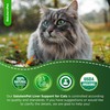 Сat Kidney Support | Milk Thistle for Cats | Herbal