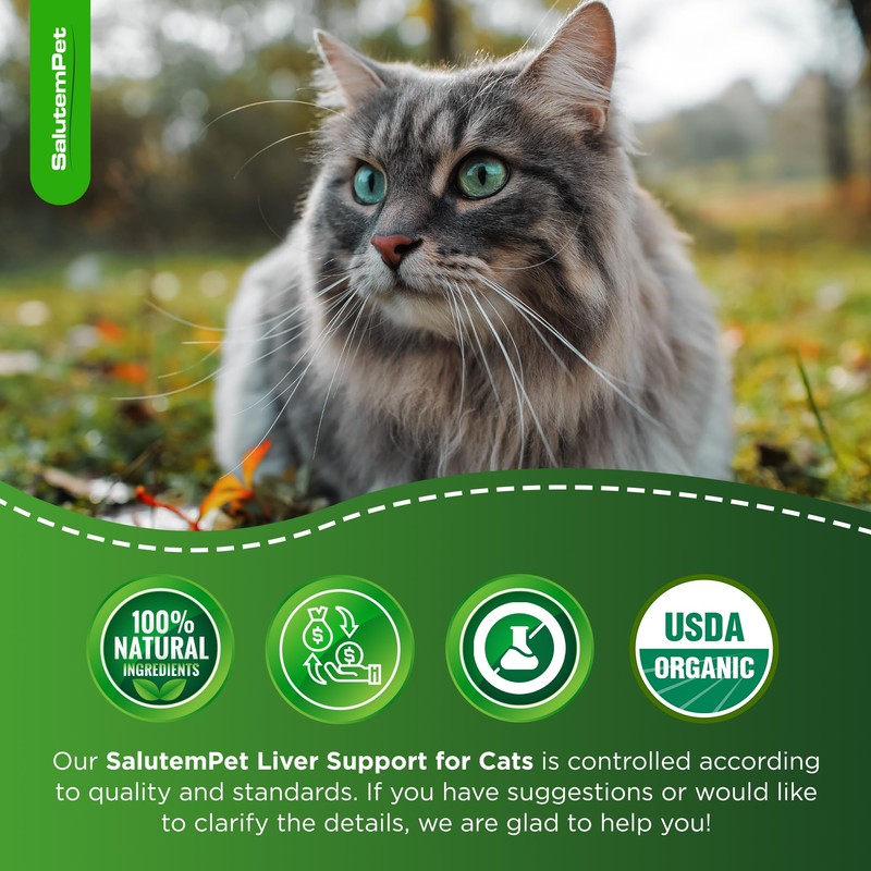 Сat Kidney Support | Milk Thistle for Cats | Herbal