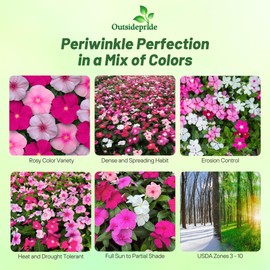 Outsidepride Titan Bubble Gum Mix Periwinkle Seeds for Planting – 100 Pcs Annual, Fast-Blooming, Heat & Drought Tolerant Vinca Flower Seeds with Vibrant Colors for Gardens, Beds & Containers