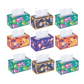 Trusted Care Facial Tissues, 9 Big Boxes, 230 Tissues Per Box - 2-Ply, Soft & Absorbent (2,070 Total Count), Packaging Vary