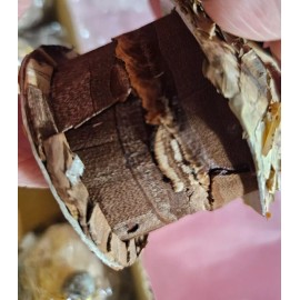 6 SET VTG MUSHROOM FAIRY bird  HOUSES Acorn nut top