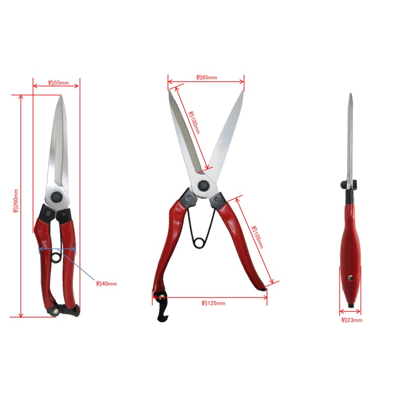 Takagi Sunflower Factory x TAKAGI Leaf Cutting Shears, 8.9 inches