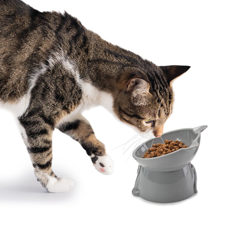 NICE PAWS - Tilted Elevated Cat Food Bowl - White/Grey/Blue/Pink
