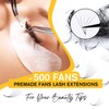 500 Premade Lash Fans 5D 0.07 C Curl 14mm Single