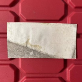 Famous Cole Bros Wild Animal Circus Ticket Unused Pre Owned Vintage 1970s