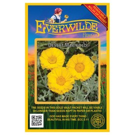 Everwilde Farms - 1000 Desert Marigold Native Wildflower Seeds - Gold Vault Seed Packet