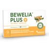 Frankincense capsules from Bewelia Plus with 600 mg & 250