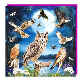 Tracks Publishing Birthday/Blank Greeting Card - Blank Card for Men/Women/Children with 3D Lenticular Birds of Prey and Moon Design - General Card Suitable for Any Occasion