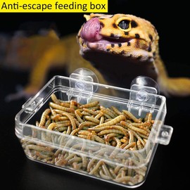 Anbaituor Reptile Feeding Bowl - Reptile Lizard Feeder Hanging Feeding Plate with Suction Cup - for Gecko Tortoise Snakes Chameleon Iguana Lizard