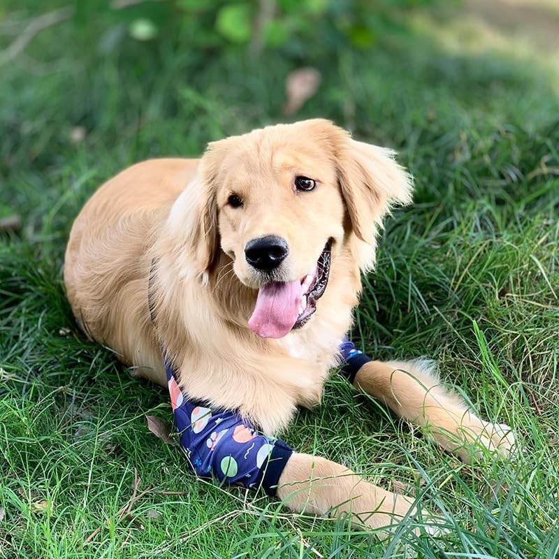 Harikaji Dog Elbow Protector, Elbow Sleeves with Mesh Pad for