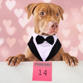 Formal Tuxedo for Medium Large Dogs, Wedding Pet Dog Bow Tie Suit Dress, Gentleman Dog Attire with Bowtie, Husky Beagle Samoyed Hound Party Costume Bandana Shirt, 2 Pcs Set, Can be Worn Separately