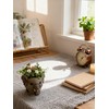 Youfui Elephant Planter for Succulents,Home Office Decor for Plant Lovers