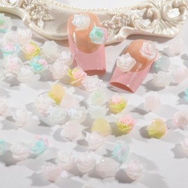 BAIYIYI 50Pcs Flower Nail Art Charms Colorful 3D Gradient Rose Flower Resin Charms Acrylic Nails Decoration Flat-Back Camellia Nail Flower for Women DIY Crafts Manicures Tips
