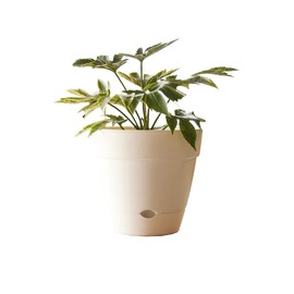Northcote Pottery Leonard Self-Watering Pot, 20 x 18 cm Size, White