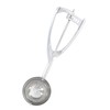 Takagi Stainless Steel Ice Disher, 2.4 fl oz (60 cc),