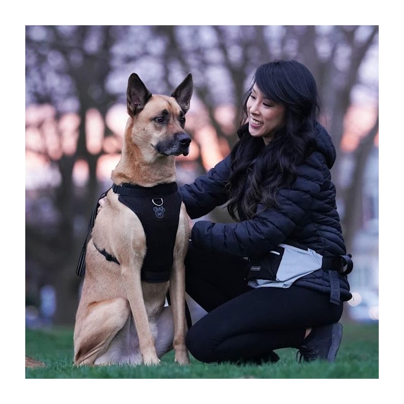 Canada Pooch Everything Dog Harness Black Mesh X-Large