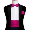 Barry.Wang YOHOWA Men Cummerbund Bow Tie Set Paisley Hot Pink