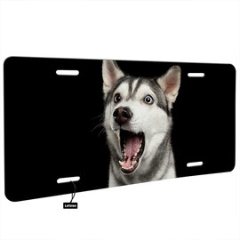 Lefolen Husky Dog Surprised Car Front License Plate Cute Animal Puppy Pet Open Mouth Big Eyes Portrait Decorate License Plates 6" X 12" Tag Novelty Vanity Metal Plate Aluminum