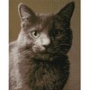 DIAMOND DOTZ Smokey Cat Diamond Painting Kits for Adults -
