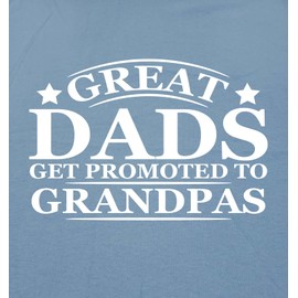 Promoted to Grandpas Humor Sarcasm Funny T Shirt L Black
