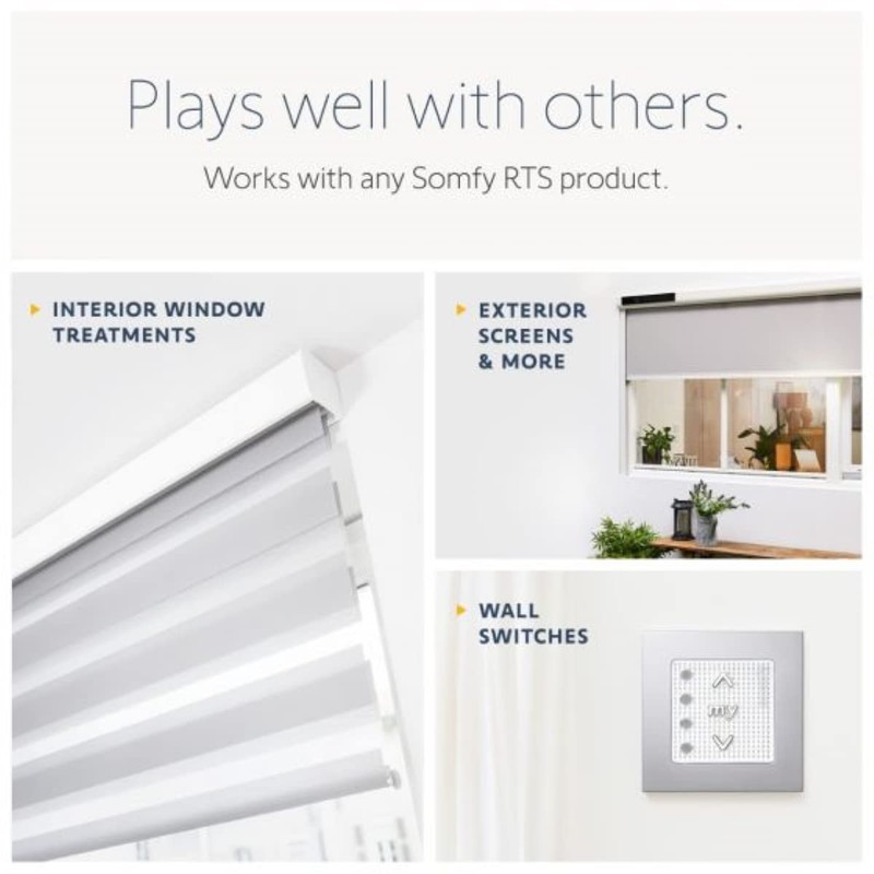 Somfy Situo Pure II RTS Single Channel Remote (Replaces Telis