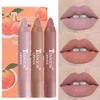 SOMGKINE 3 pcs Lip Liner and Lipstick Makeup Set (01)
