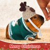 Clysee 10 Pcs Guinea Pig Clothes, 5 Guinea Pig Costume