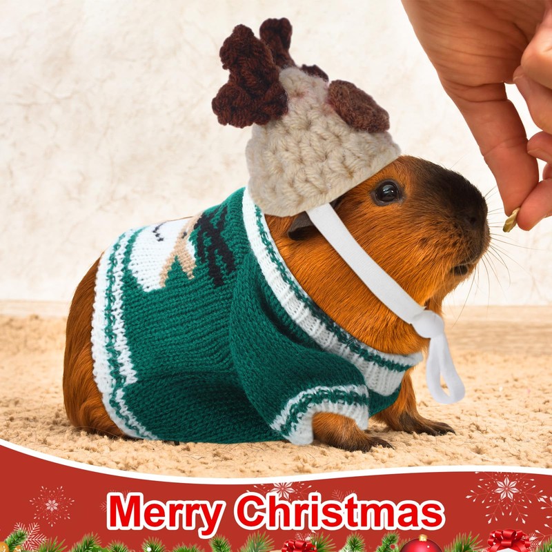 Clysee 10 Pcs Guinea Pig Clothes, 5 Guinea Pig Costume