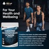 Creatine Monohydrate Powder 100% Pure Micronized Creatine - 350g Increased