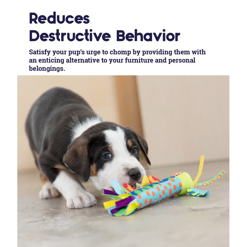 Petstages Cool Teething Stick for Dogs - Soothing Chew Toy