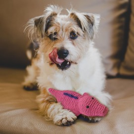 SPOT Ethical Products Latex Pals Assorted 7.5"