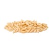 Grape Tree Grape Tree Pine Nut Kernels 1kg