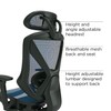 Staples Dexley Ergonomic Mesh Swivel Task Chair, Blue (UN59375)