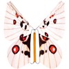 'Magix Star Party Joke Item: Novelties "Stake Shock Butterfly –