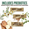 Probiotics 60 Billion CFU + 10 Strains - Daily Probiotic