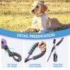 BAAPET 2/4/5/6 FT Dog Leash with Comfortable Padded Handle and