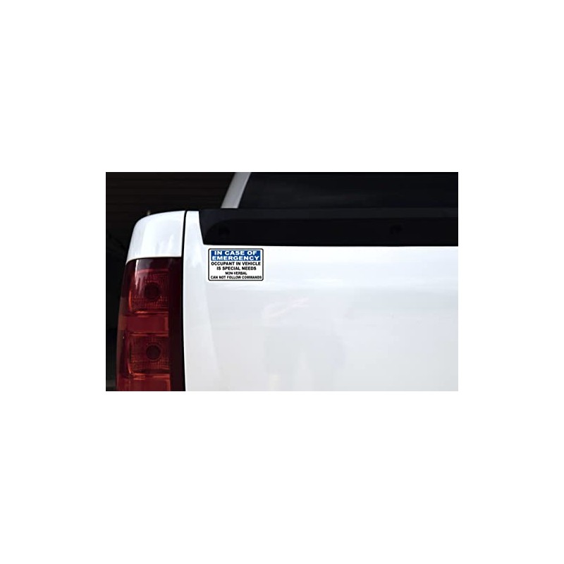 StickerTalk Occupant in Vehicle is Special Needs Vinyl Sticker, 5