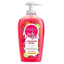 Pond's Limpiador Facial Noche y Día 220 ml