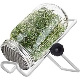 Kit de germinación Mason Jars - Juego de germinación de semillas con soporte de cubierta para cultivar brotes de frijol, alfalfa y brócoli - Tarros Mason con tapas