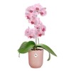 elho Vibes Fold Orchid High 12,5cm - Orchid Pot Indoor