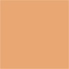 Stylefile Marker Potato Brown (210)