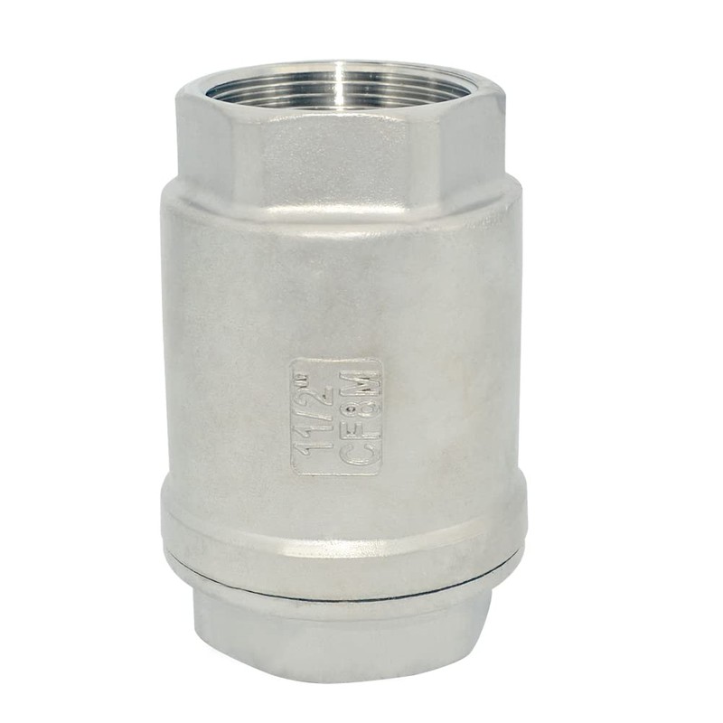 Dsmpipeft NPT Female WOG1000 Check Valve,Vertical Check Valve,NPT Spring Loaded