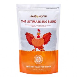 LuckyQworms Dried Insect Trail Mix for Chickens - High Protein 42% & Calcium 1.1% for Egg Laying - Natural Treat for Birds, Reptiles, Ducks, Hedgehogs - 1 Lbs Resealable Bag