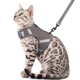 pangdi Cat Harness and Leash Set, No Over-the-Head Cat Vest, Grey, XL