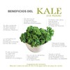 Kale Frutal Health Toyo Group, 100g