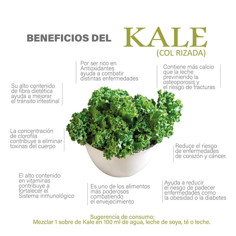 Kale Frutal Health Toyo Group, 100g