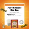 Twinings Pure Rooibos Red Herbal Tea Individually Wrapped Bags, 20