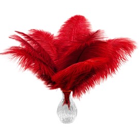 Piokio 10pcs Red Ostrich Feathers 10-12 inch (25-30cm) Bulk Feathers for Home Decoration and DIY Clothes Decoration, Gatsby Decorations