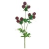 Burgundy Globe Thistle Spray 18"